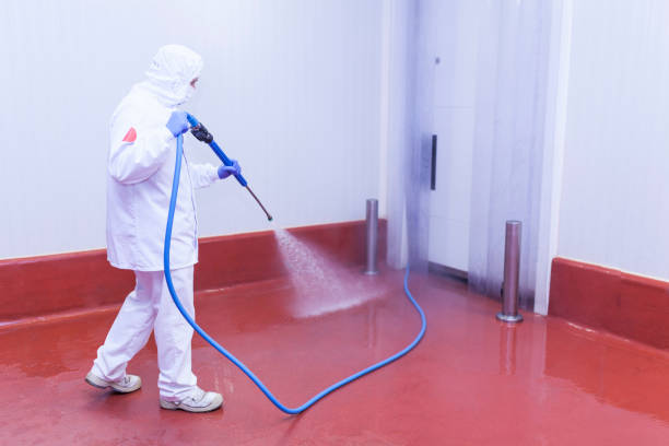 Spring Cleaning in Noyack, NY